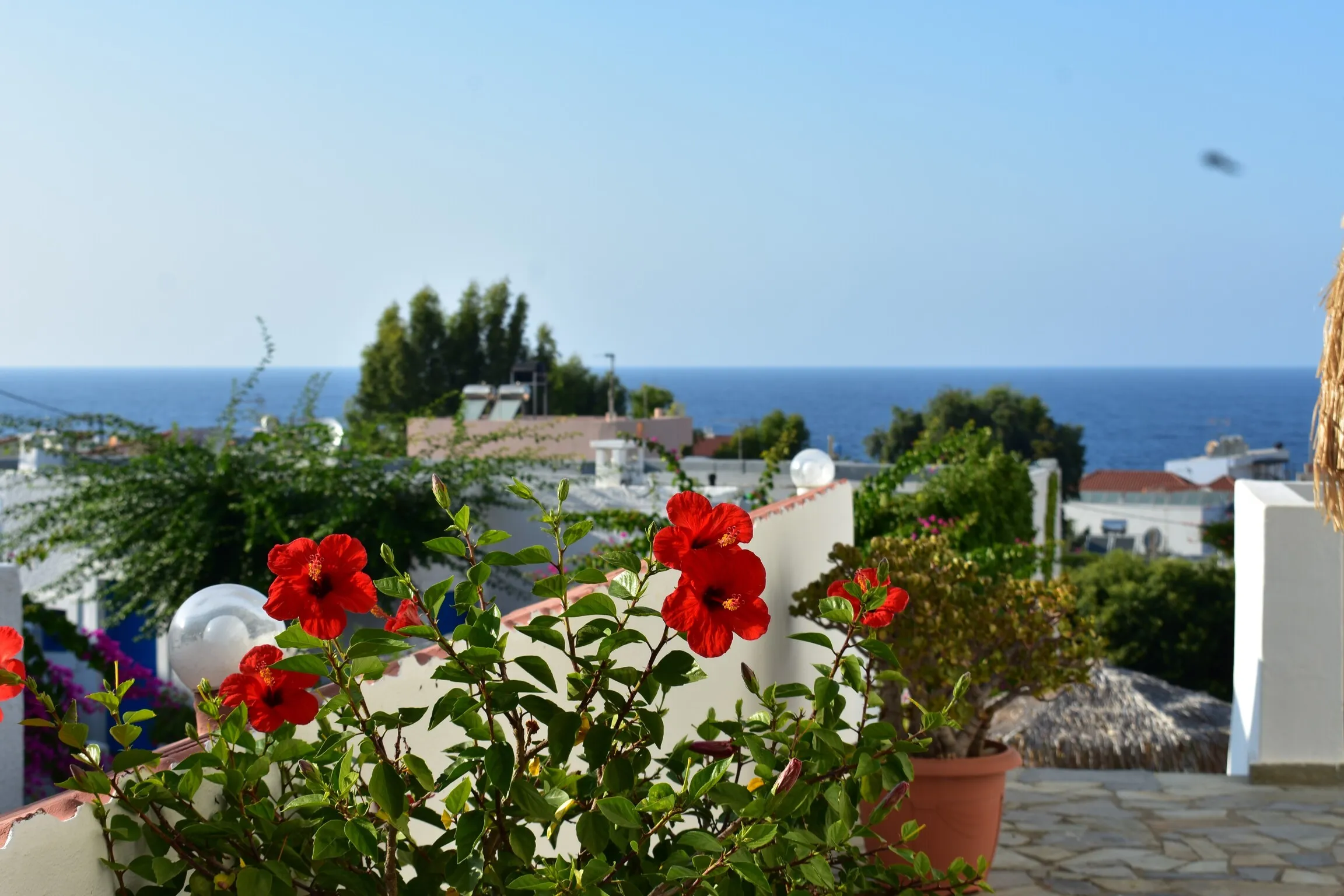 Kasteli Studios & Apartments - 5