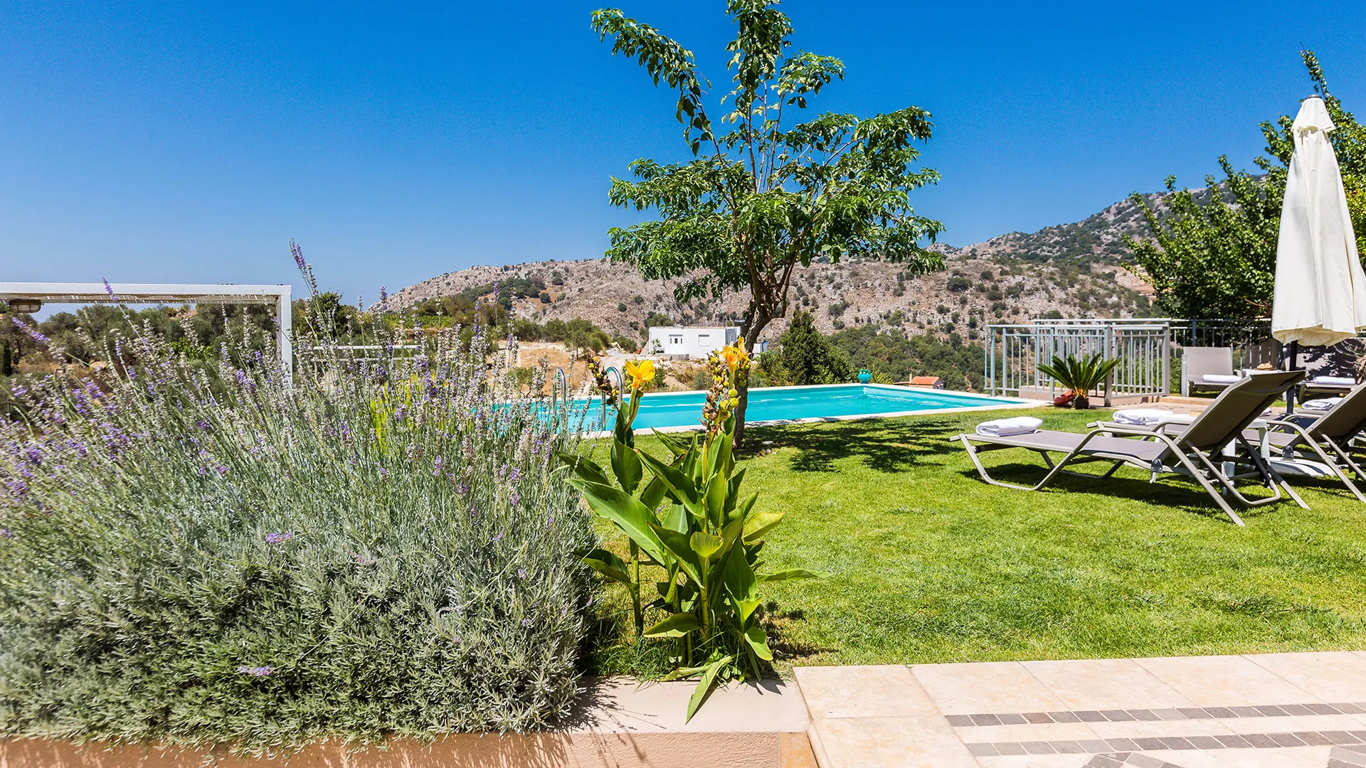 Our "green" garden is full of grass, trees & flowers!