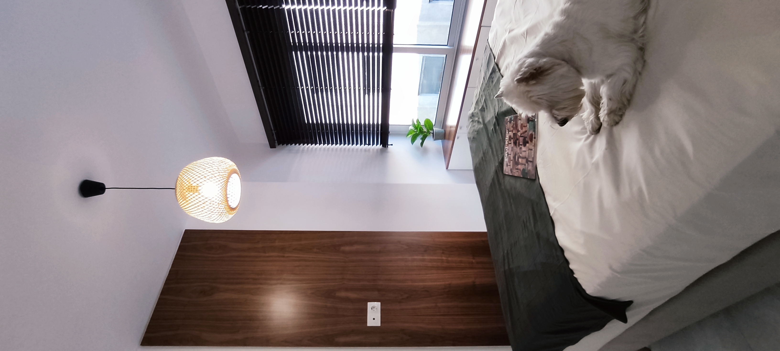 Jumbotron Img test-1